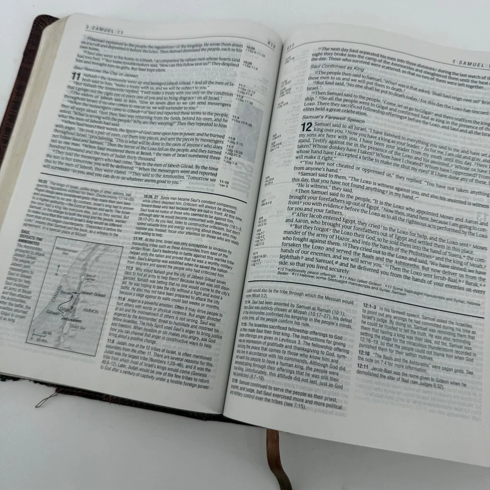 Life Application Study‎ Bible International Version Brown Crocodile Embossed